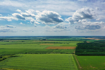 landscape view of one of the parts of Ukraine in the Khmelnytsky and Kiev regions.