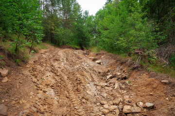 mountain road with deep ruts and mud with traces of cars and green trees.