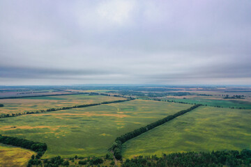 Fototapeta premium landscape view of one of the parts of Ukraine in the Khmelnytsky and Kiev regions.