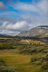 Fototapeta na wymiar dovrefjell landscape in norway in summer