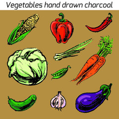 Vector illustration with hand drawn vegetable charcoal. Design of restaurants, a grocery store. Vintage set vegetables.