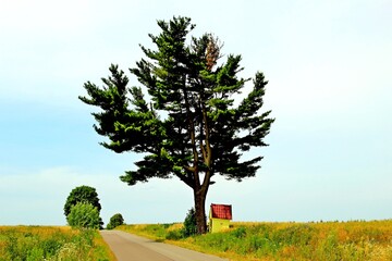 Tuchla , Czerniawka , Charytany , Piaski © woodyd