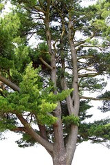 Tuchla , Czerniawka , Charytany , Piaski © woodyd