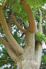 Tuchla , Czerniawka , Charytany , Piaski © woodyd