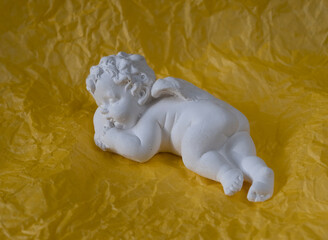 Little white peacefully sleeping