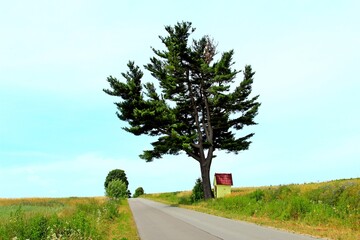 Tuchla , Czerniawka , Charytany , Piaski © woodyd