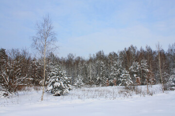 Beautiful winter landscape on a frosty day