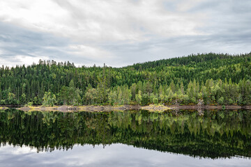 Reflections from a forest in a lake in Norway