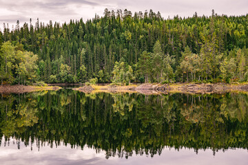 Reflections from a forest in a lake in Norway