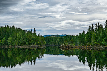 Fototapeta premium Reflections from a forest in a lake in Norway