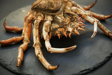 raw Atlantic crab close-up on black background, soft focus.	