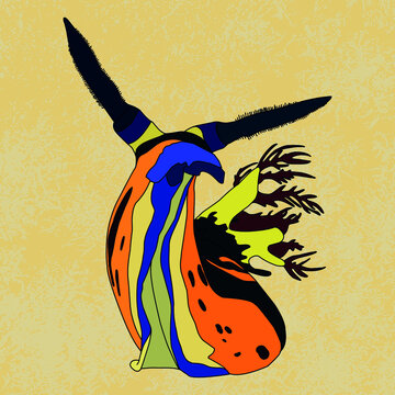 recommend clip art: multi-colored vector image of a marine nudibranch