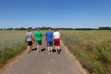 4 promeneurs sur route de campaagne