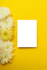 Blank isolatd white card on the bold yellow background with beautiful chrysanthemums on the...