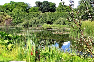 Arboretum Bolestraszyce © woodyd