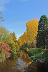 Obraz premium Herbst am Bach