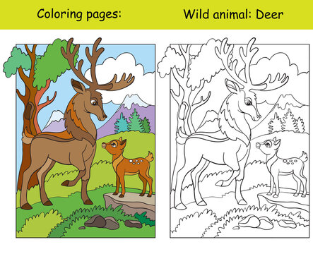 Coloring book page and color template deers