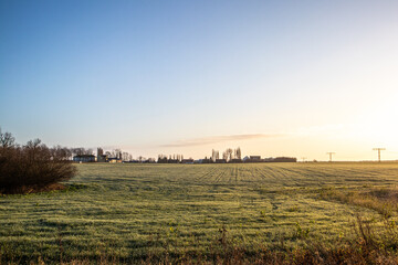 Fototapeta premium Feld