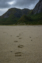 Beach with mountains and strong weather in north Norway