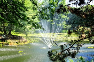 Arboretum Bolestraszyce © woodyd