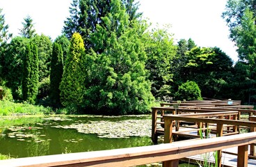 Arboretum Bolestraszyce