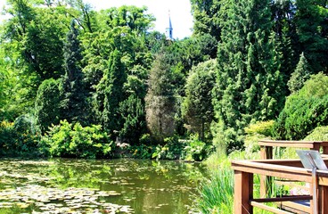 Arboretum Bolestraszyce