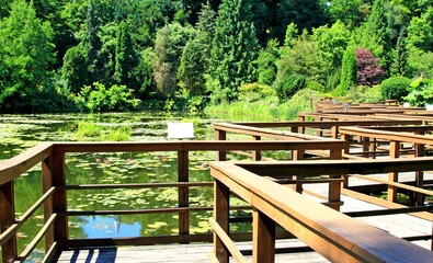 Fototapeta premium Arboretum Bolestraszyce