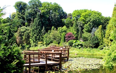 Arboretum Bolestraszyce