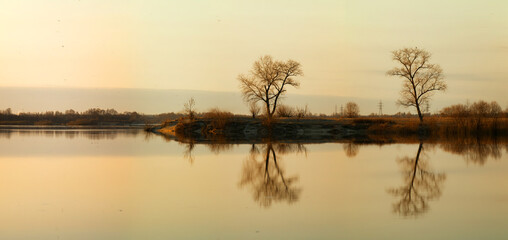 Beautiful landscape with old willow tree at sunrise. River