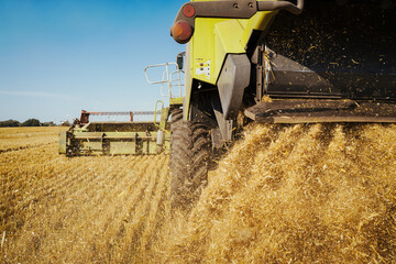 Combine harvester harvests ripe wheat. Concept of a rich harvest. Agriculture image