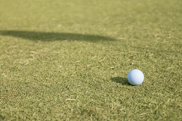 ゴルフ場の芝生とゴルフボール
