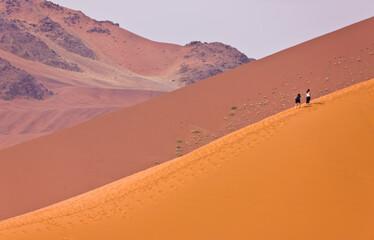 Fototapeta na wymiar Dune 45, Namib desert, Namib Naukluft National Park, Namibia, Africa