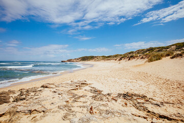 Fototapeta na wymiar Koonya Beach in Sorrento Australia