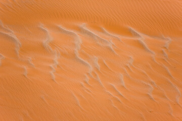 Namib desert,  Namib Naukluft National Park, Namibia, Africa