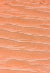 Namib desert,  Namib Naukluft National Park, Namibia, Africa