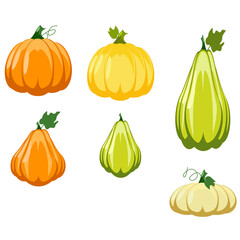 Farmer food, colorful pumpkins. Flat design. Vector illustration