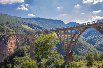 Beautiful Durdevica arched Tara Bridge over green amazing Tara Canyon. One of the world deepest Canyons and UNESCO World Heritage, Montenegro.