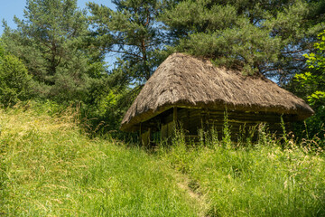 Old, medieval, traditional Ukrainian rural house on a hill in the forest.