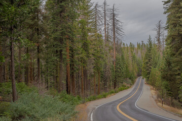Fototapeta na wymiar Yosemite national park california
