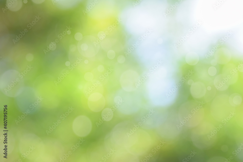 Wall mural abstract green bokeh nature background. circle bokeh with light blur background