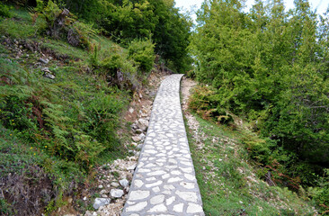 Fototapeta na wymiar pedestrian path made of stones in the natural park Martvili Canyon