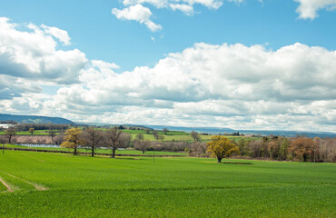 Fototapeta na wymiar Springtime landscape with sky and clouds