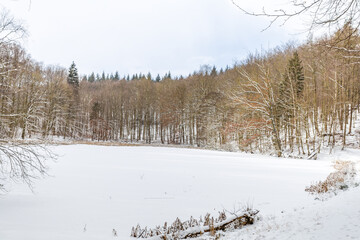 Winterwald