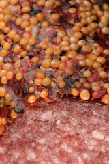 Dried pork spicy sausage