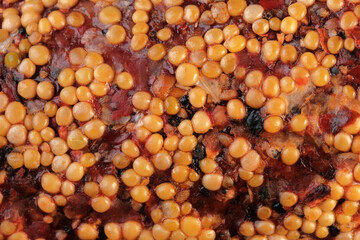 Dried pork spicy sausage