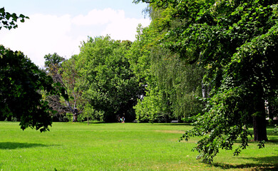 Kańczuga , Sietesz , Markowa , Kraczkowa , Łańcut - Storczykarnia , Łańcut  park