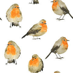 Cute seamless pattern of Robin bird on white background. Watercolor hand drawing illustration. Winter grey and orange bird. Perfect for print on fabric, textile, paper.