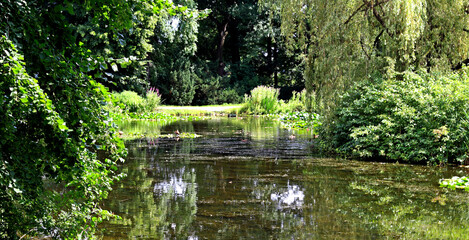 Kańczuga , Sietesz , Markowa , Kraczkowa , Łańcut - Storczykarnia , Łańcut  park