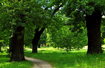 Kańczuga , Sietesz , Markowa , Kraczkowa , Łańcut - Storczykarnia , Łańcut  park
