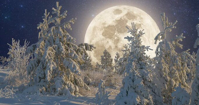 Winter landscape with night sky and bright moon.Spruce branch in the snow. View from the top of the mountain